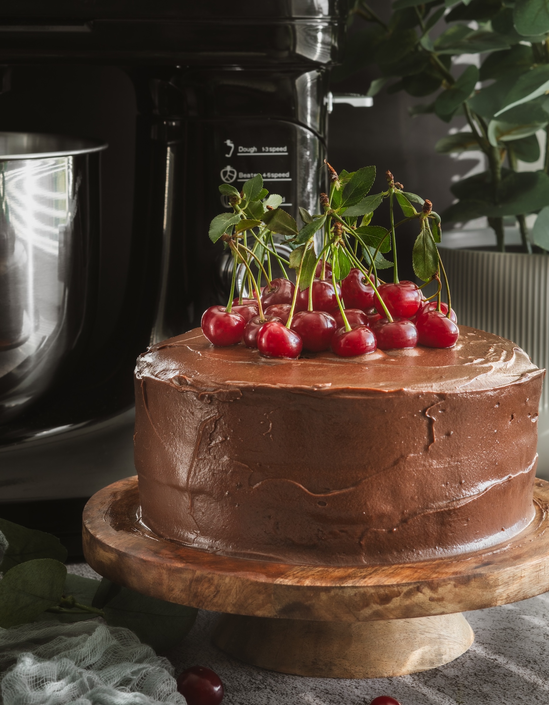 Čokoládová torta s višňami, Čokoládová torta s višňami