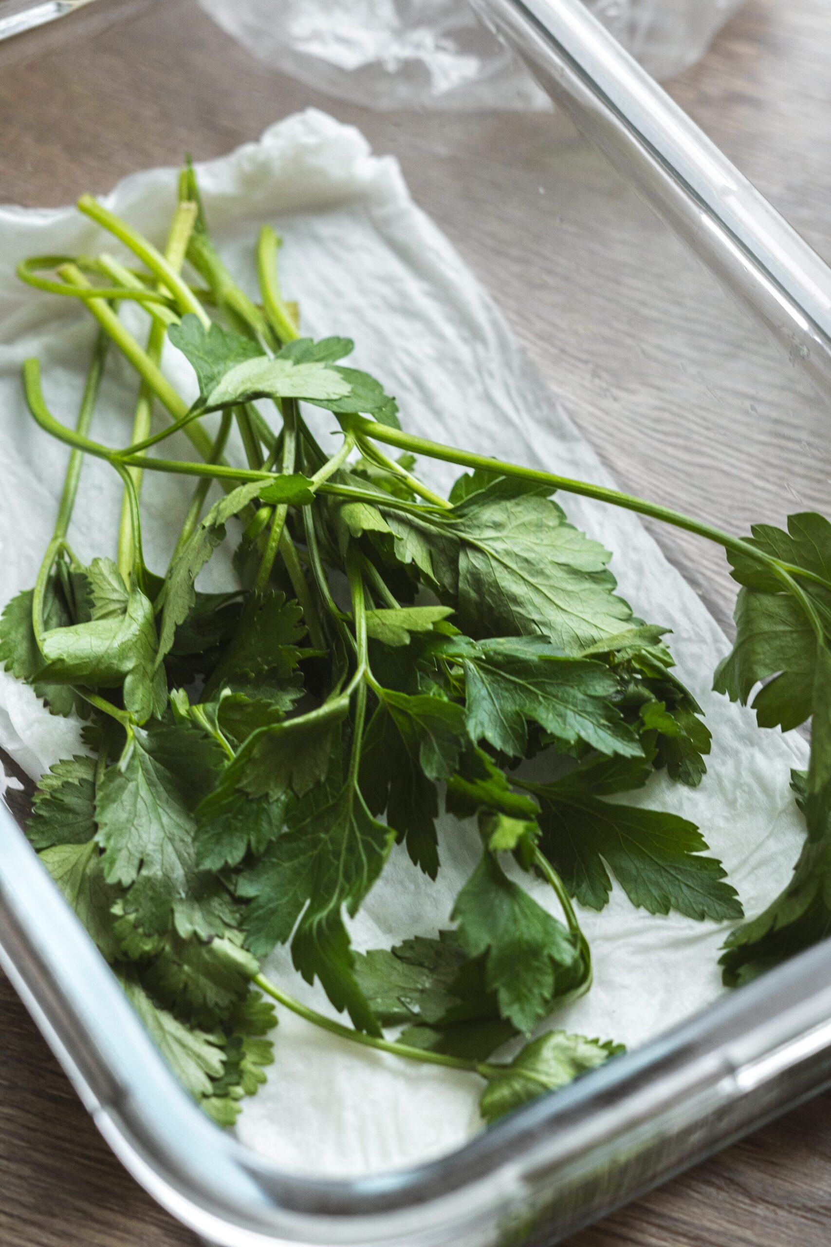 Ako uchovať bylinky čerstv&eacute; čo najdlh&scaron;ie?, Ako uchovať bylinky čerstv&eacute; čo najdlh&scaron;ie? Tieto triky v&aacute;m u&scaron;etria nervy aj peniaze